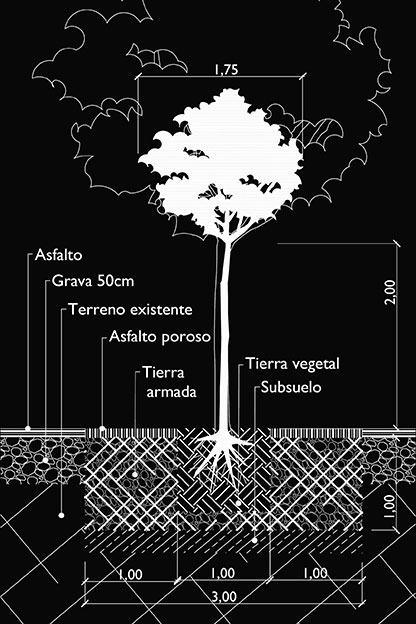 Exuberante vegetacion, principalmente en macetas, delimitada por terrazas y escaleras, todo orquestrado en cincuenta metros cuadrados; una experiencia selvatica.