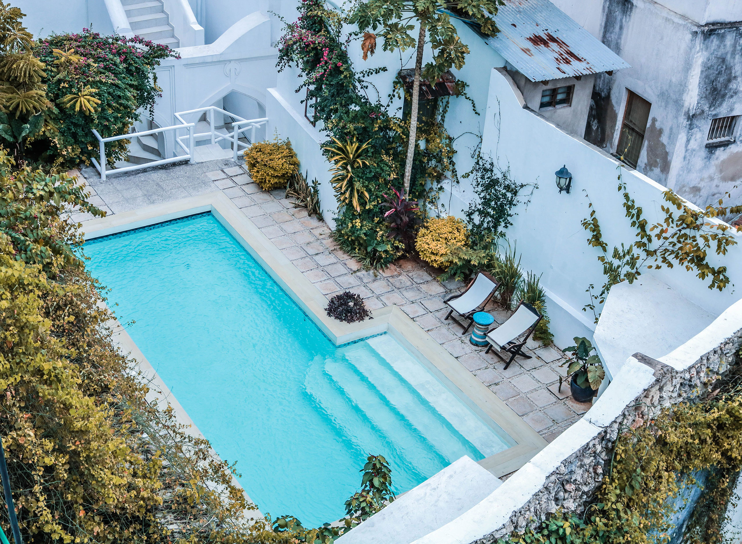 Patio con piscina turquesa, exuberante vegetación en macetas, revestimiento en mosaico de cerámica y tumbonas.