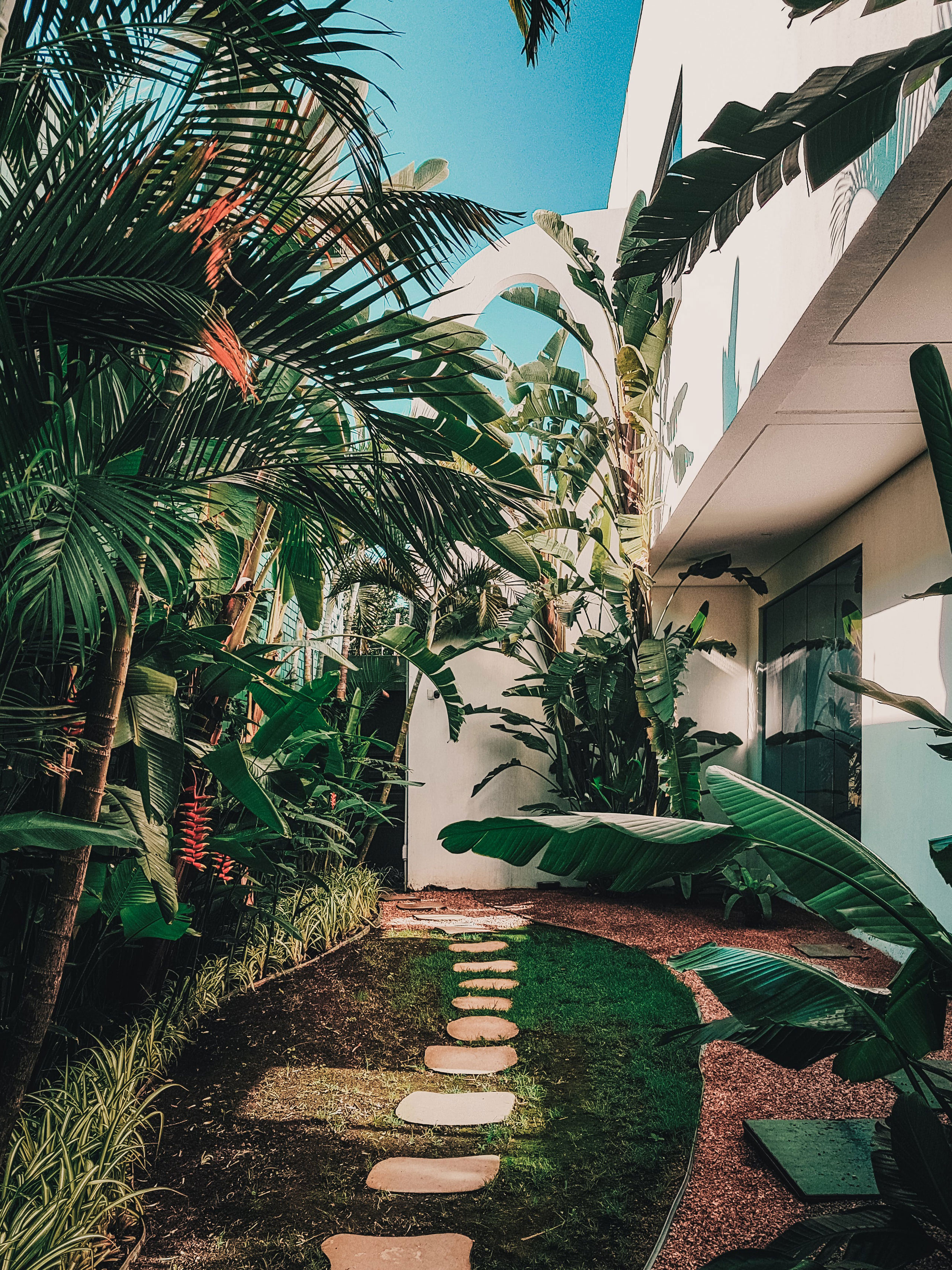 Plantas tropicales acompañando el lateral de la vivienda, a través un paso japonés con arido maron y cesped.