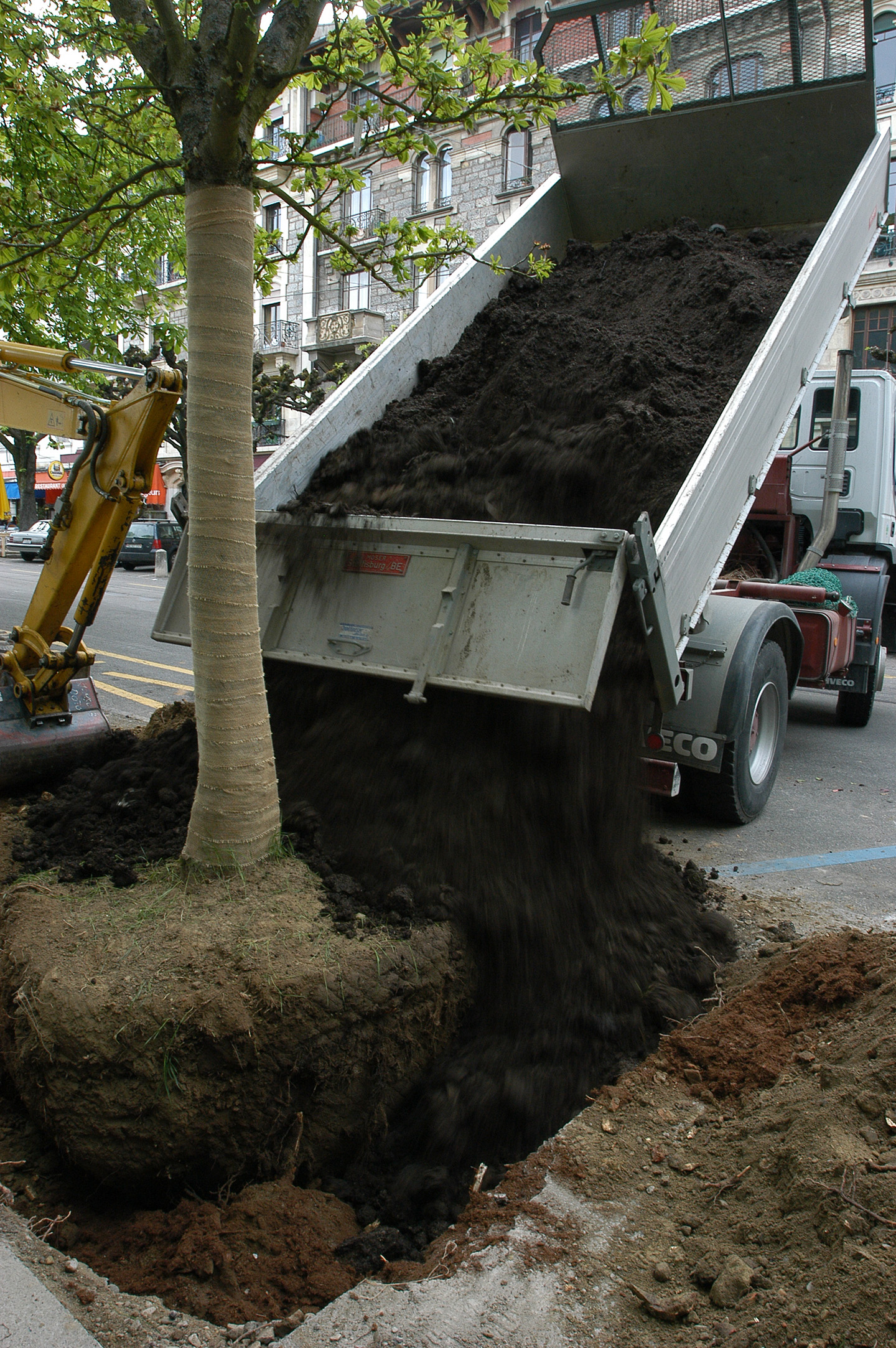 Alcorque plantación árbol en acera, volumen mínimo nueve metros cúbicos.