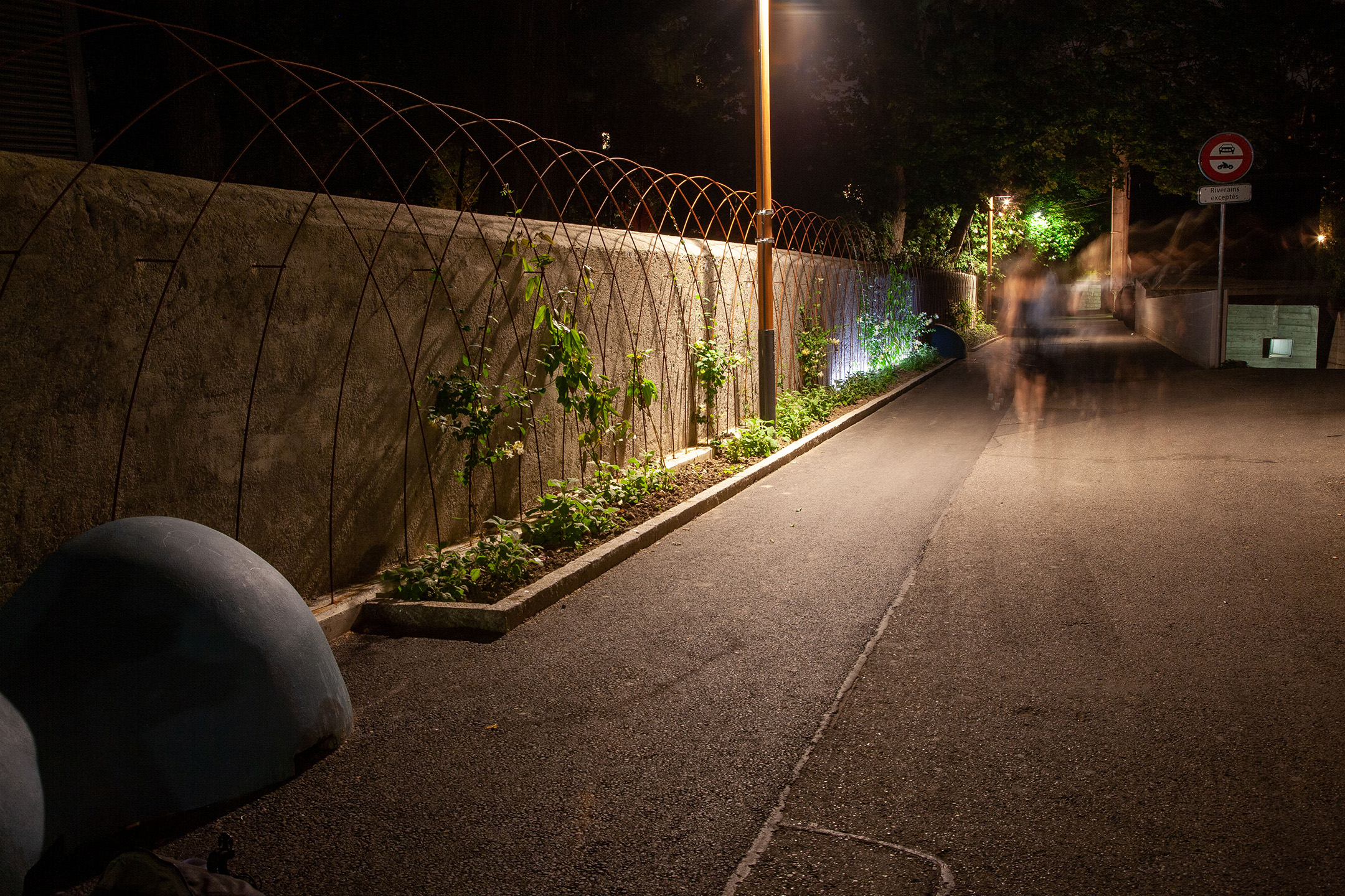 Humanización vegetal del espacio público, con elementos metálicos en forma de celosía, e iluminación con led.